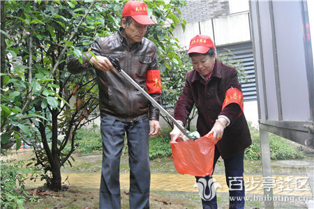 周翠萍组织楼栋党员参与社区志愿服务.jpg