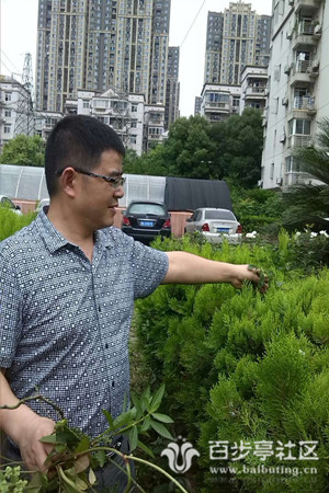 8高美华在苑区除杂草_副本.jpg